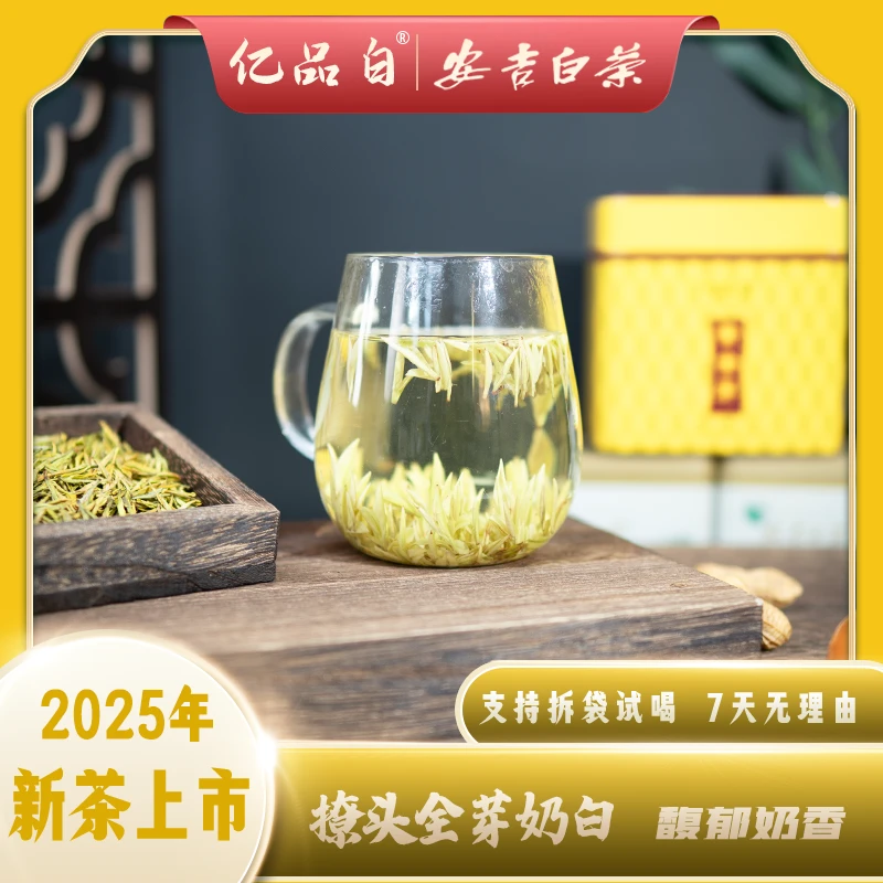 2025年新茶【撩头全芽奶百】黄金芽正宗安吉白茶特级头采明前精品香