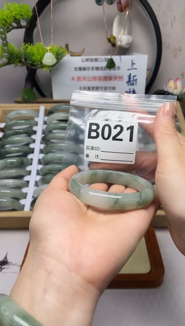【闪购商品】石英质玉(天山翠)手镯未镶嵌b021