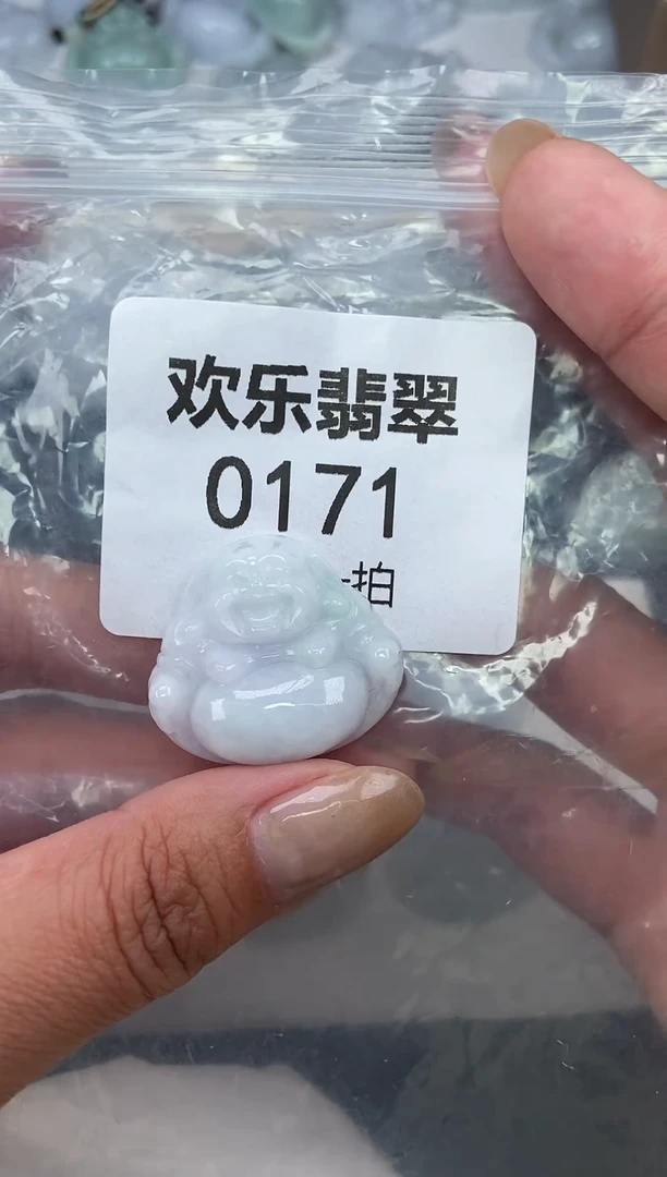 颈饰未镶嵌翡翠缅甸天然翡翠0171