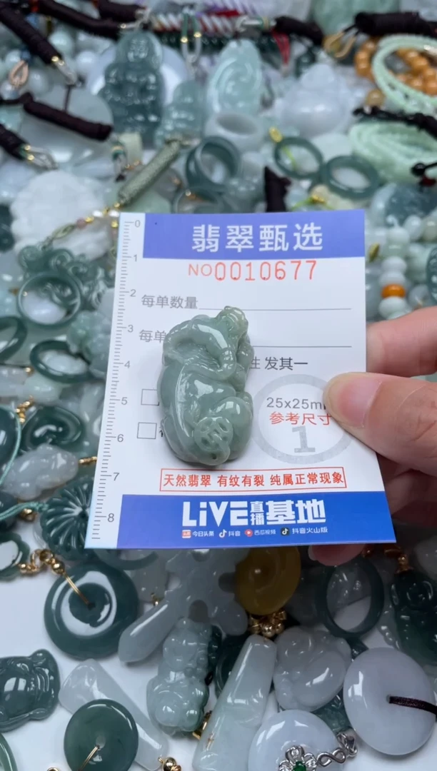 颈饰未镶嵌翡翠10677