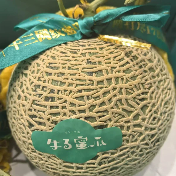 悦果先生牛三网纹瓜（一颗）