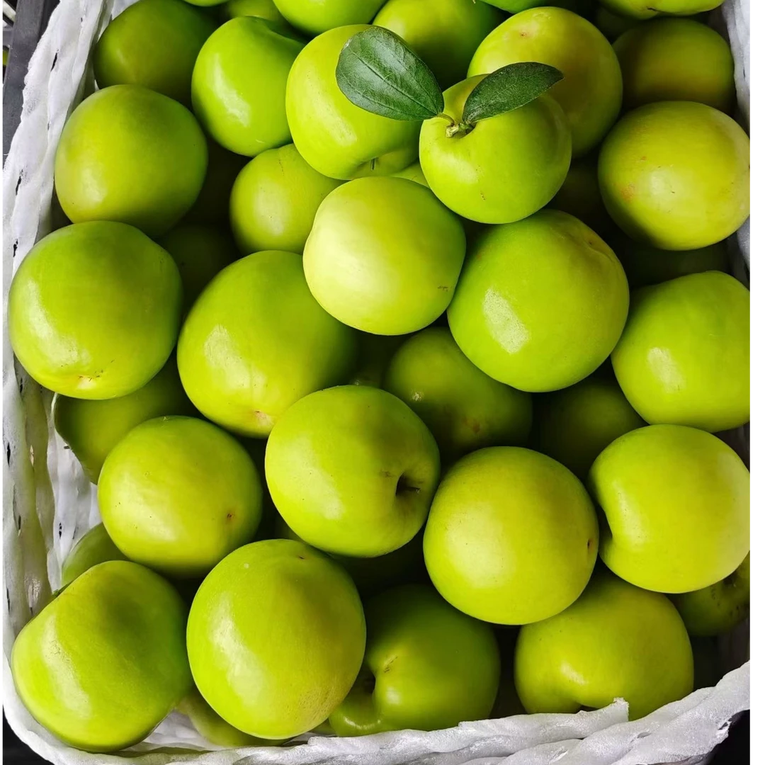 西双版纳新鲜应季青枣脆甜多汁产地直采水果苹果枣