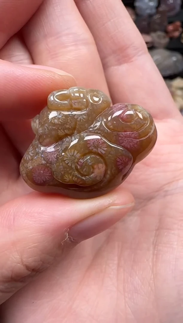 颈饰未镶嵌硅化珊瑚（珊瑚玉）182