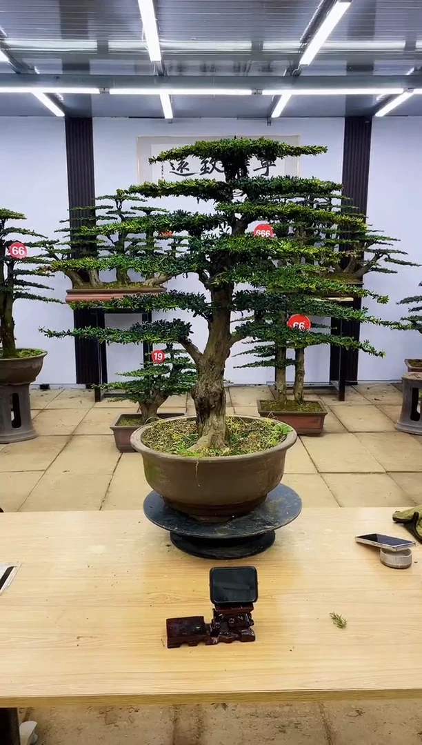 【闪购商品】00000000