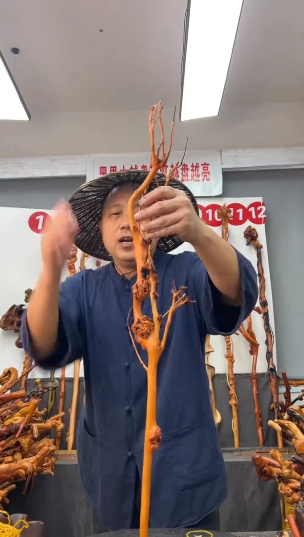 黑果木其他黑果木778