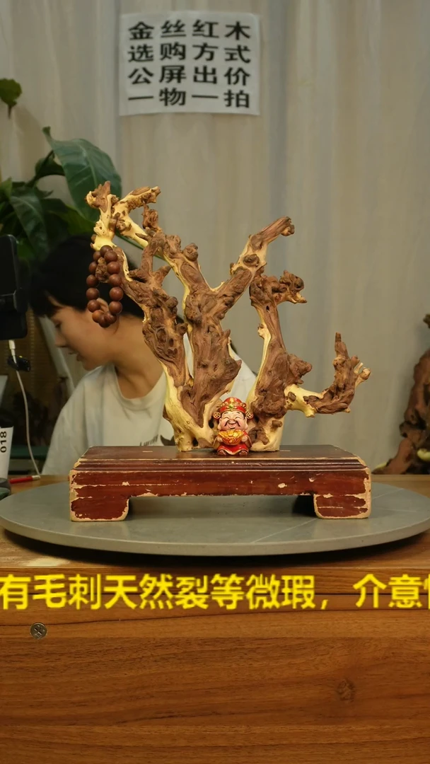 木云南红河金丝红018