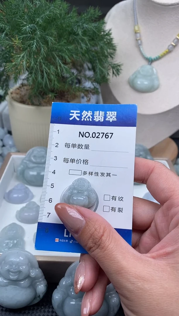 颈饰未镶嵌翡翠纯天然A货缅翡2767