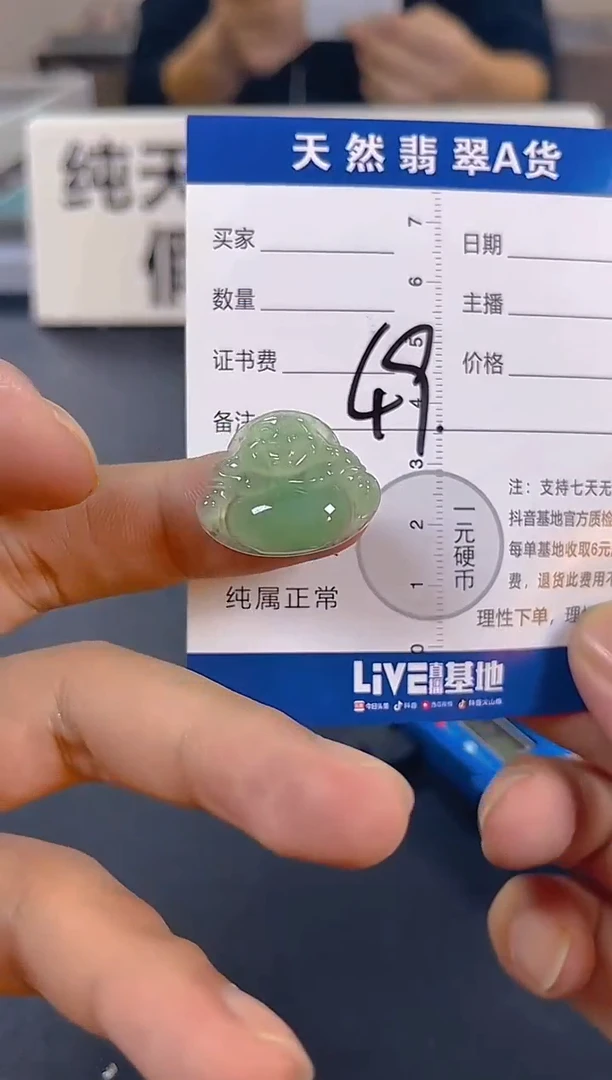 颈饰未镶嵌翡翠纯天然缅甸翡翠A货