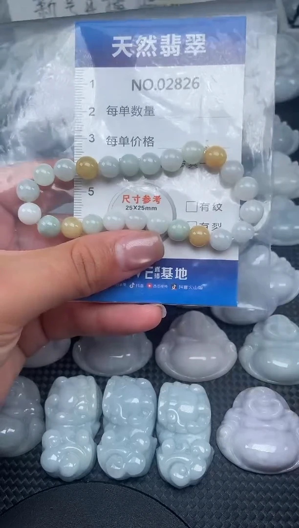颈饰未镶嵌翡翠纯天然A货翡翠2826
