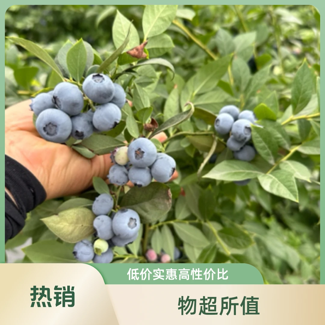 京东包邮蓝莓中果89甜12酸1000克（净2斤）10-15mm1酸9甜可口实惠选择蓝莓同城送四川省