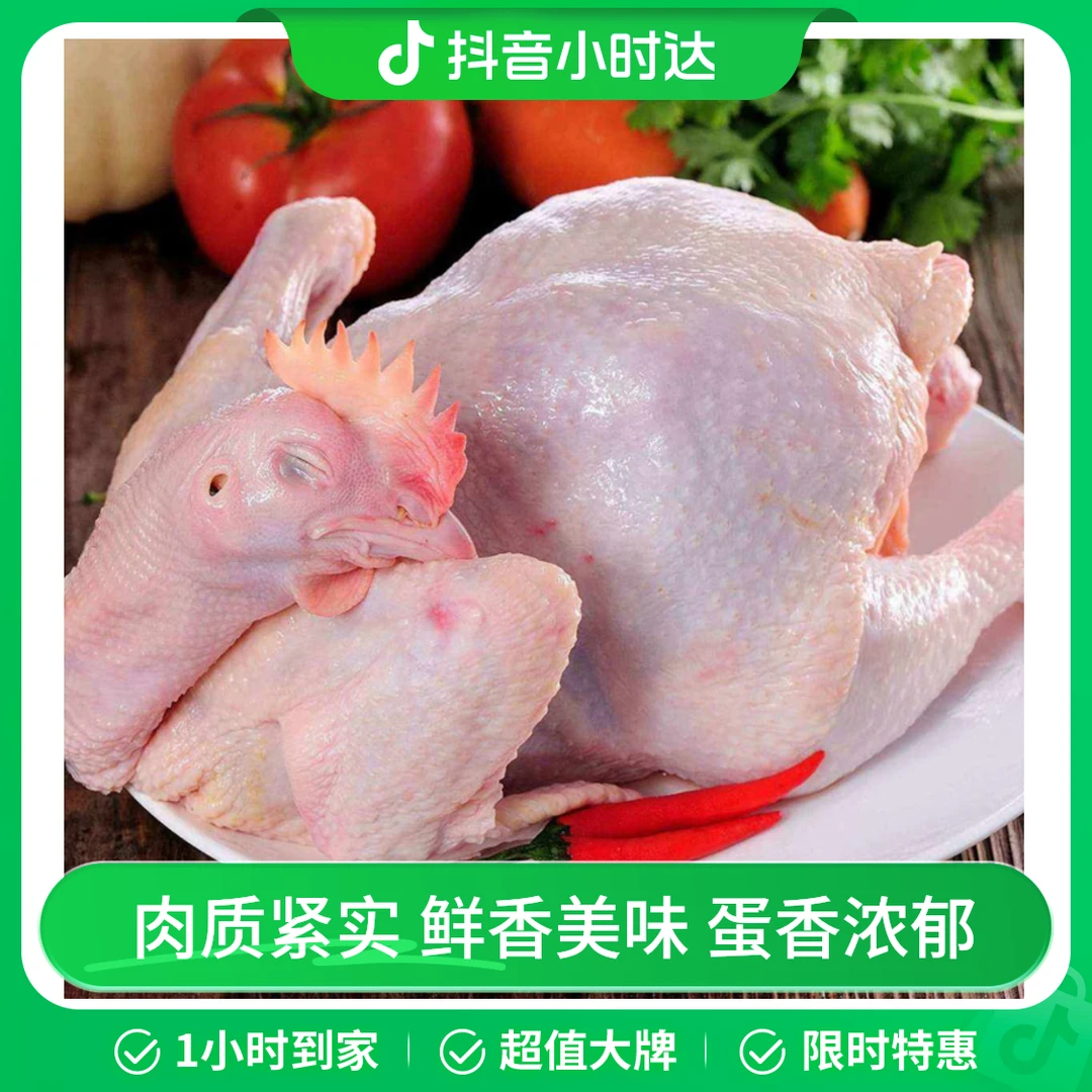 鲜芦花鸡约3.5斤±200g/只