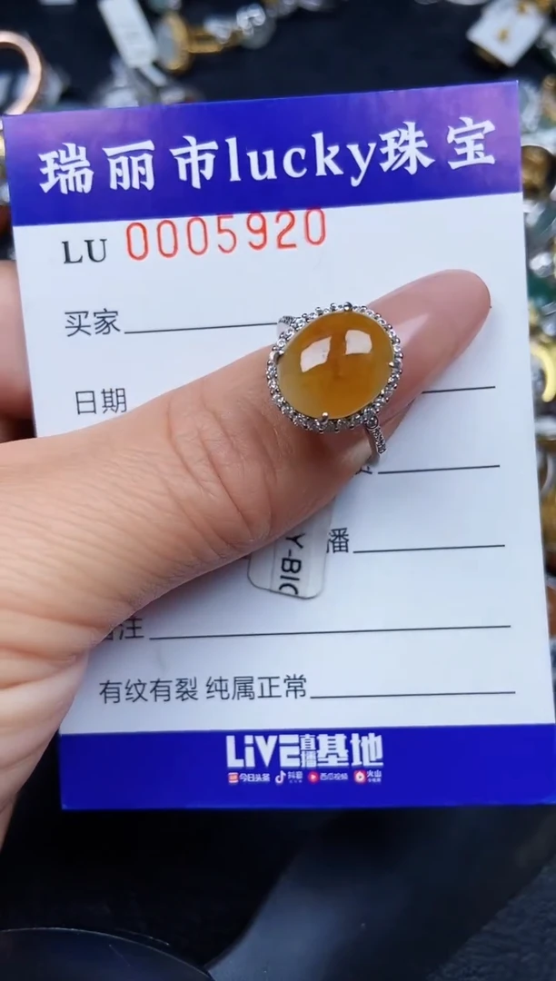 翡翠银S925镶嵌颈饰5920