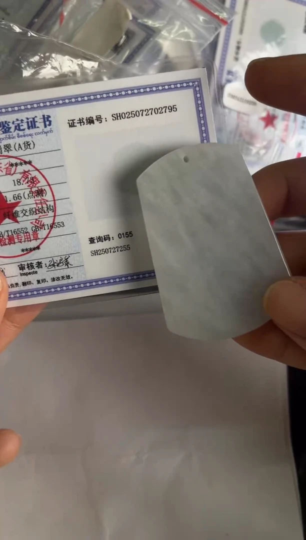 翡翠未镶嵌颈饰无事牌