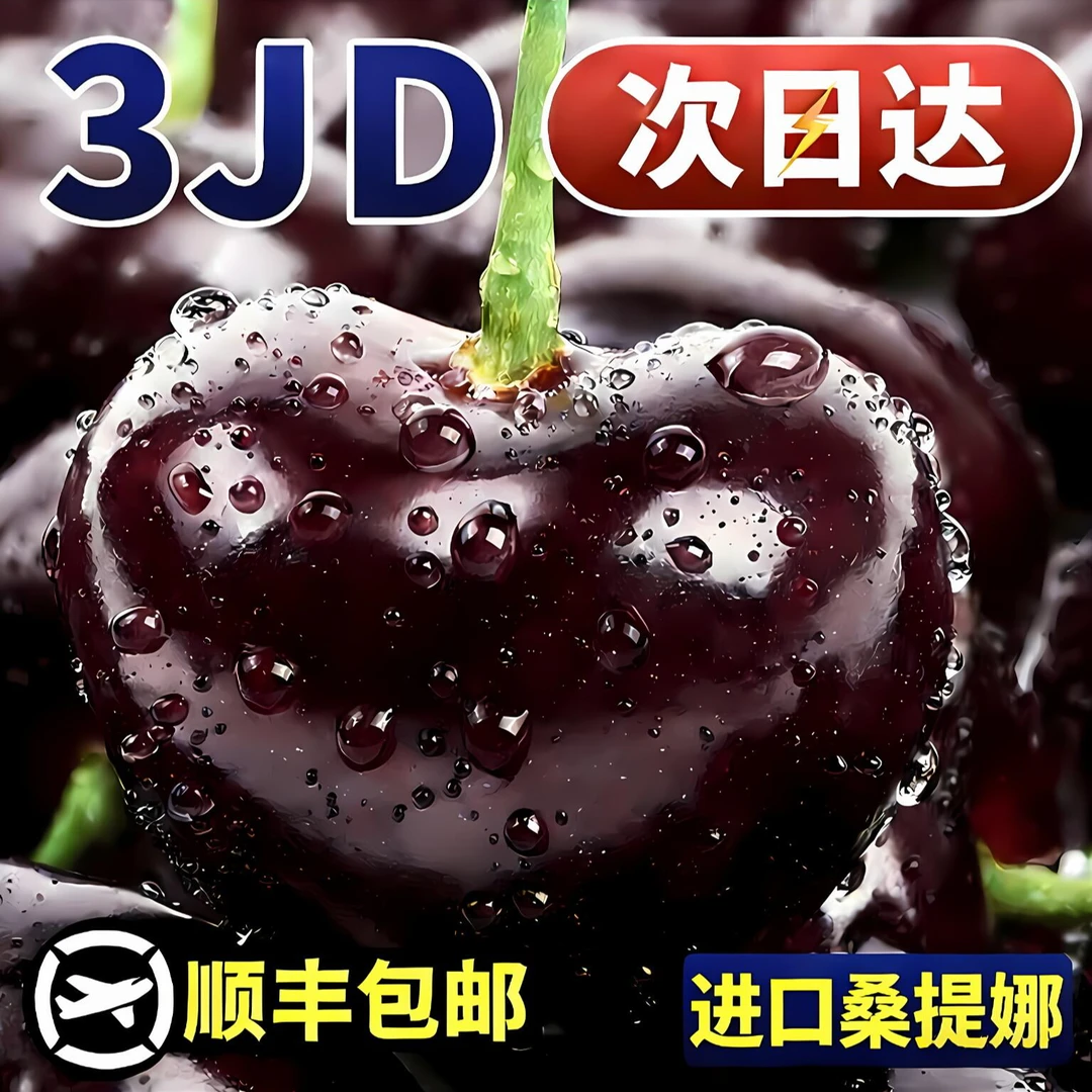明天到【3JDD加大加黑】特大果智利空运桑提娜SANTINA车厘子新鲜头内附果径卡1.6斤桑提娜樱桃智利共和国
