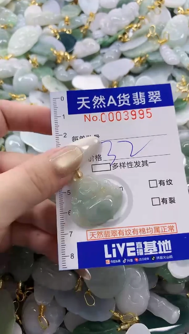 颈饰未镶嵌翡翠天然A货翡翠