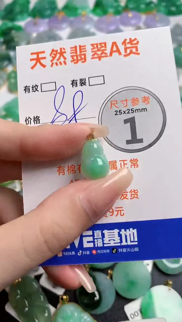 翡翠18K金镶嵌颈饰13002839