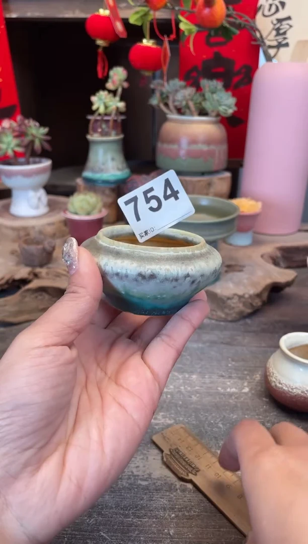 【闪购商品】摆件754知木小芳花盆