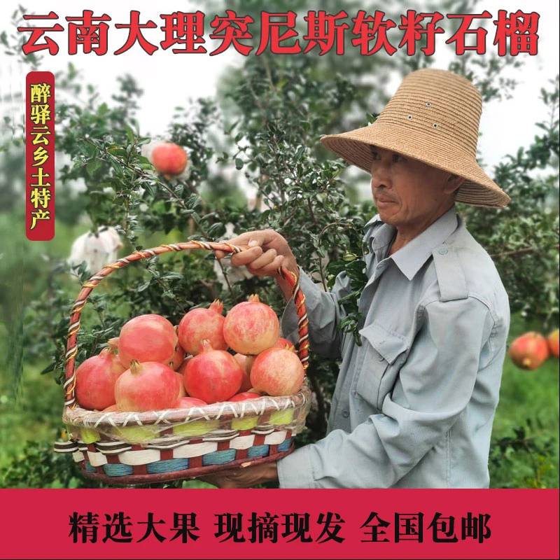 云南大理宾川突尼斯软籽石榴不吐籽产地现摘甜石榴新鲜韵达包邮