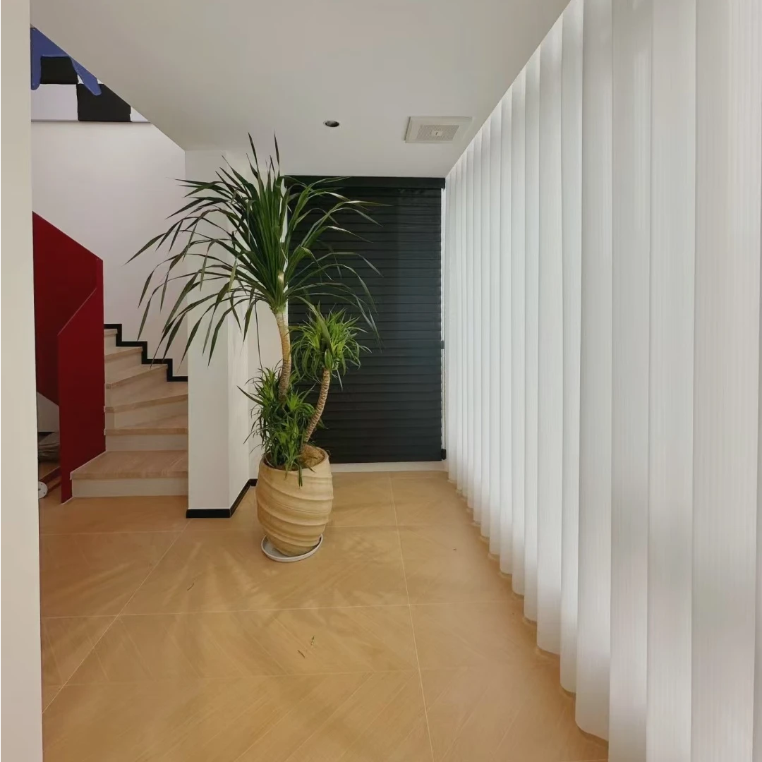 2025新款唯美高货纱帘透光不透人质感肌理纹浪漫轻奢氛围感垂感纱