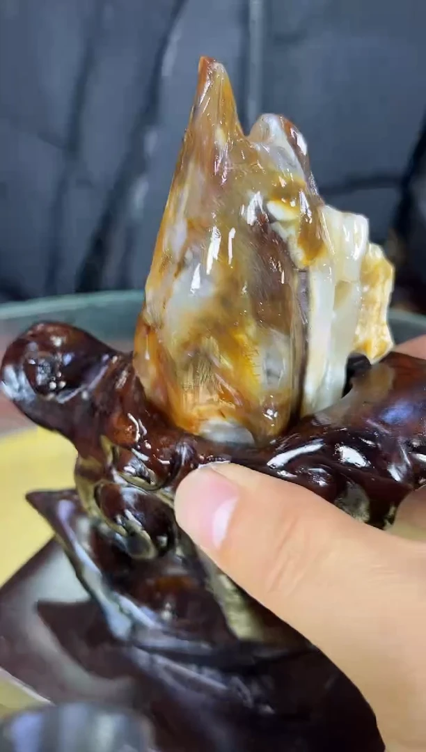 未镶嵌珠宝奇石硅化玉缅甸天然树化玉摆件