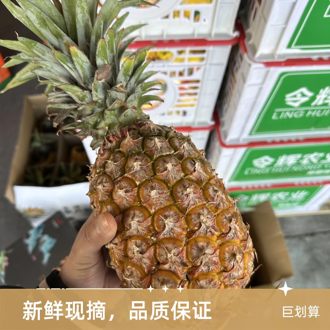 台湾凤梨新鲜水果清新甘甜2个装顺丰包邮产地直发