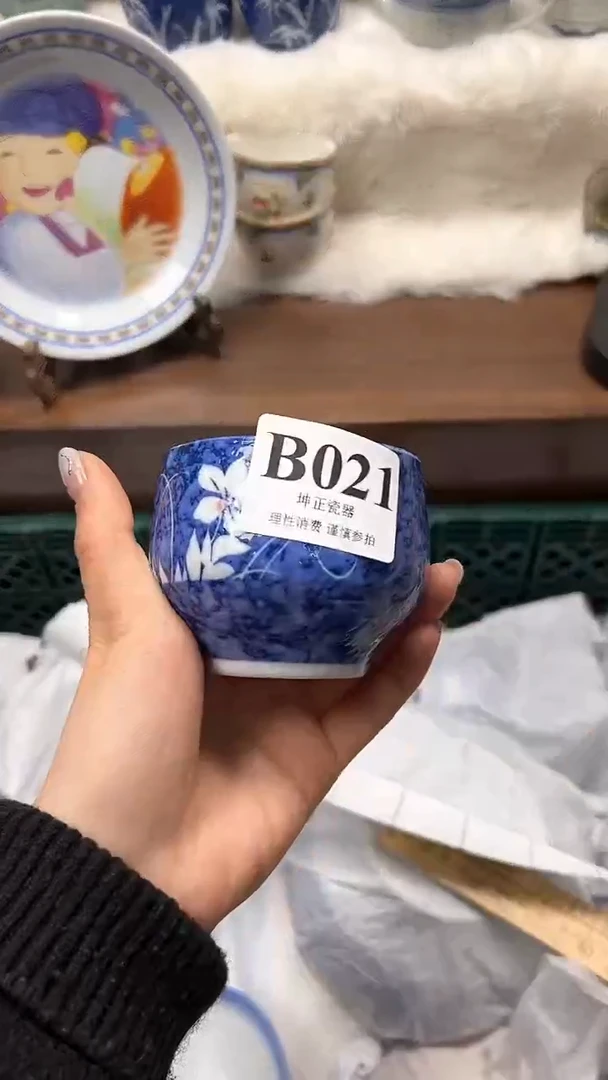 【闪购商品】瓷片          B021