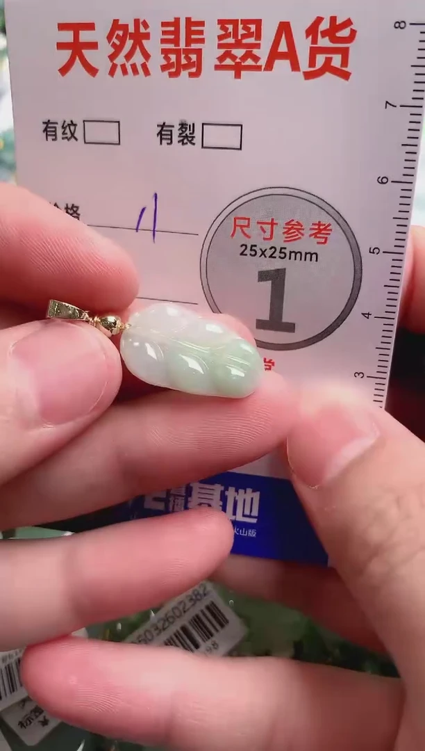 翡翠未镶嵌颈饰23000117