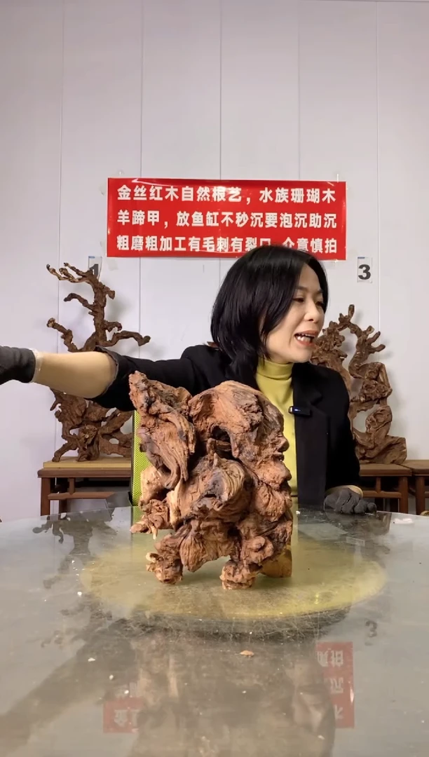 【闪购商品】木28金丝红木 羊蹄甲