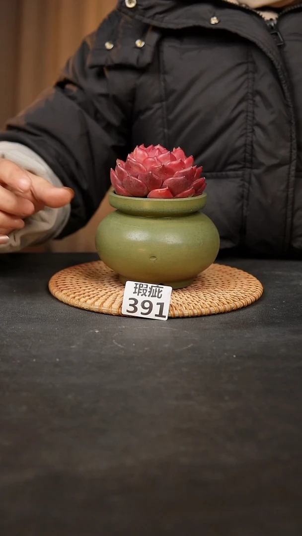 【闪购商品】瓷片391泥泥手工花盆口