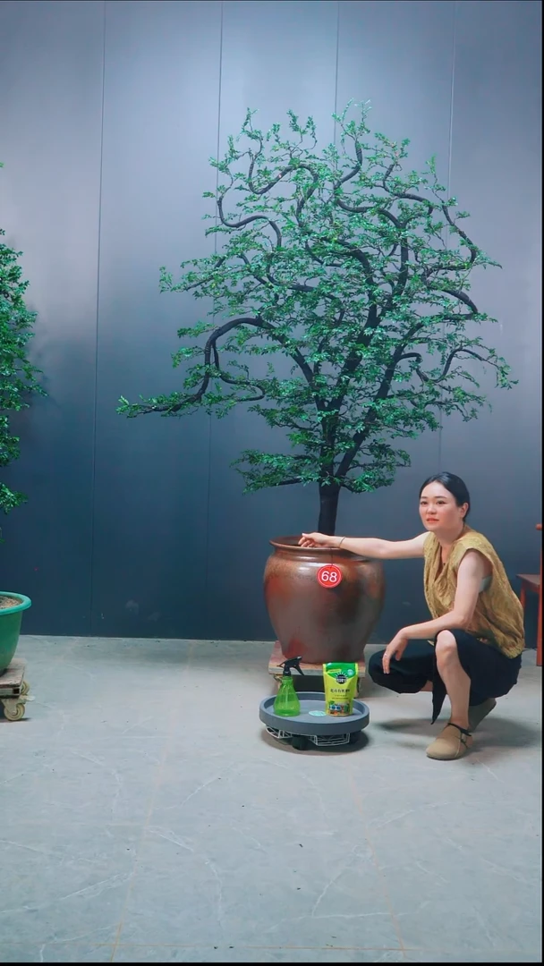 有机玻璃傻*广东的小叶紫檀.68号