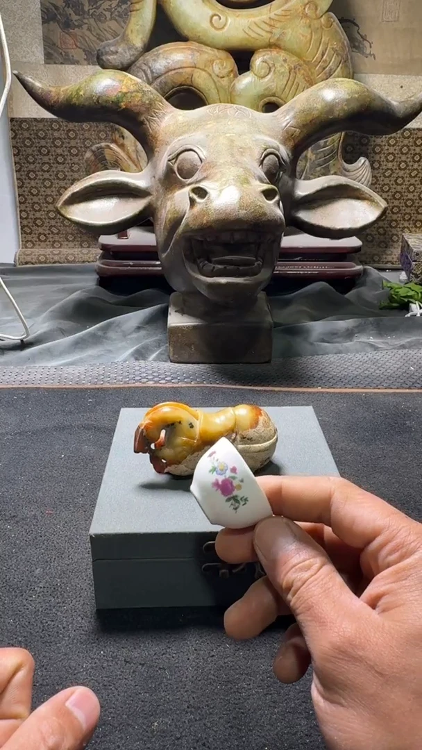 瓷片主播推荐好物