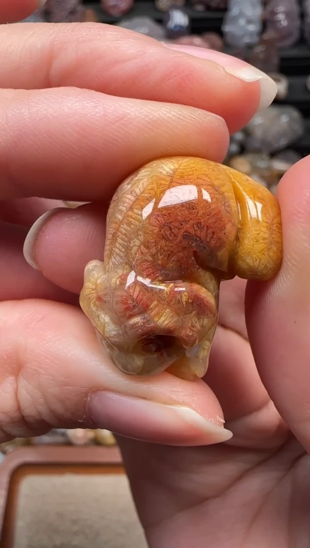 颈饰未镶嵌硅化珊瑚（珊瑚玉）461