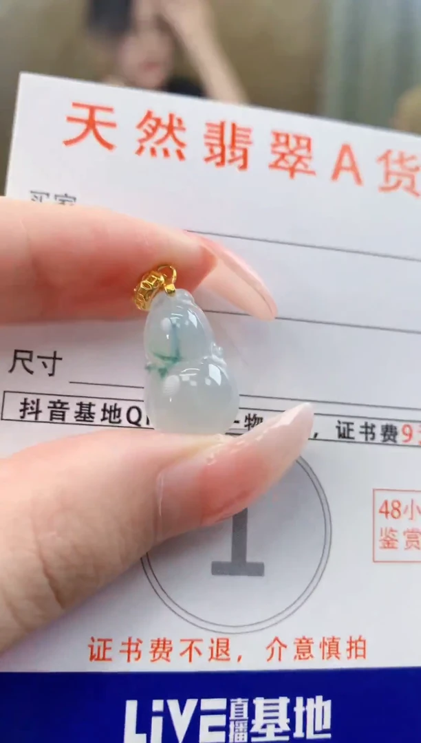 颈饰未镶嵌翡翠天然A货翡翠挂件