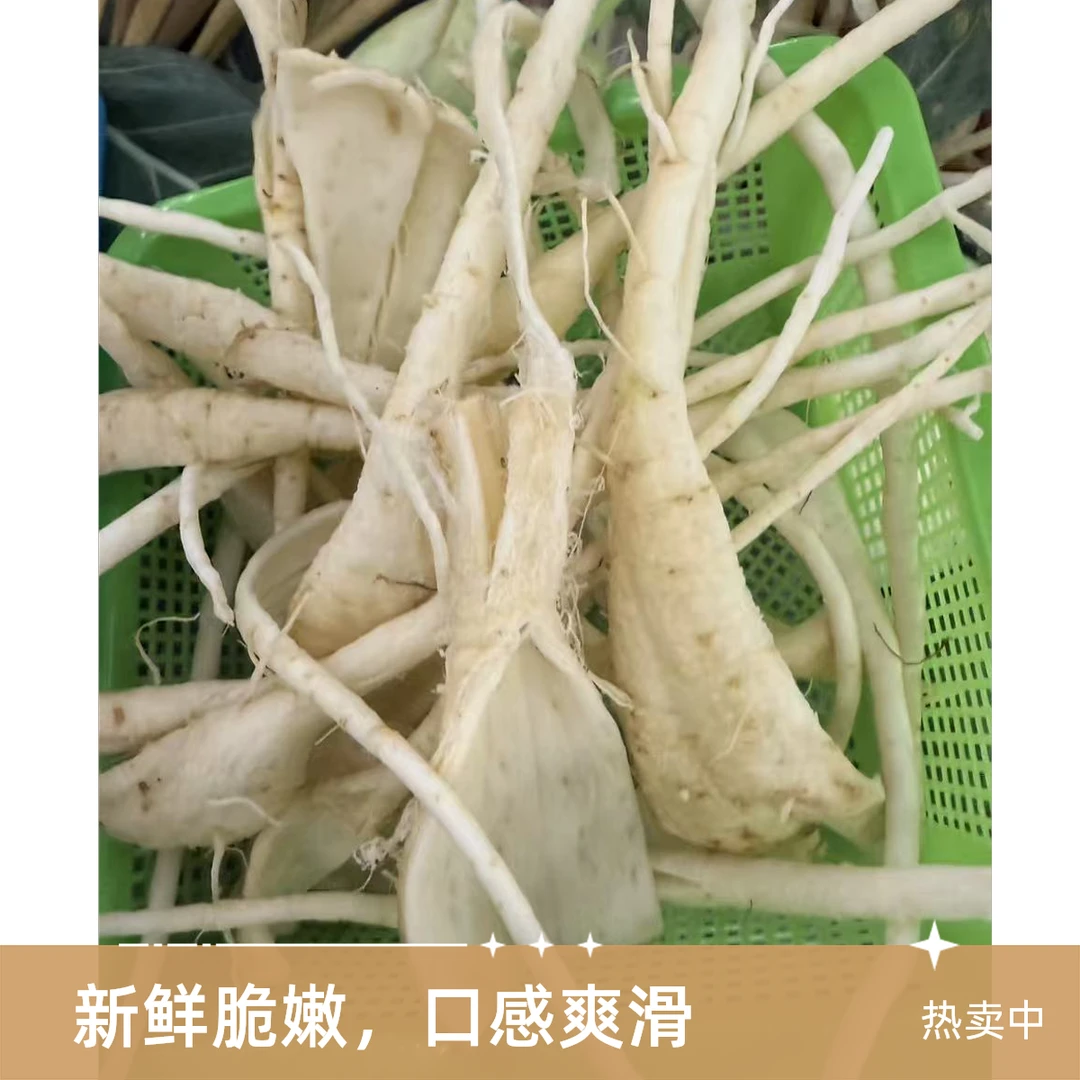 茴香根100g