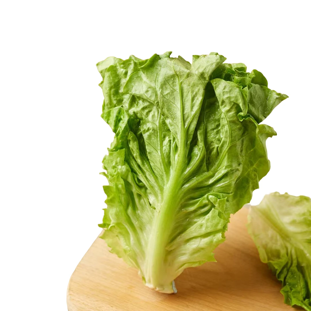 新鲜生菜（300g-350g）生菜