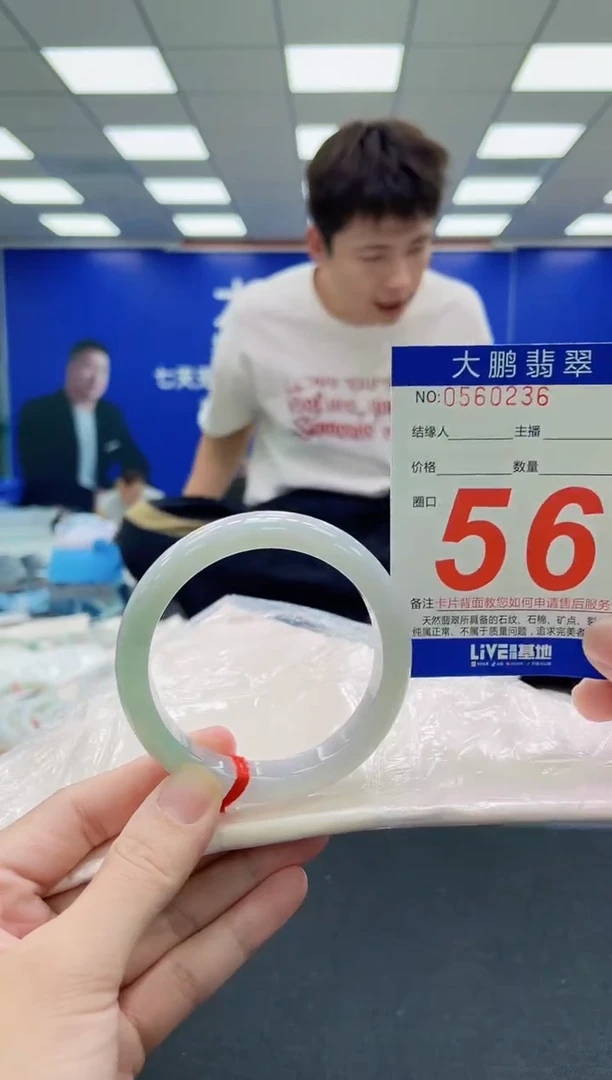 未镶嵌手镯翡翠AAAAAAAAA