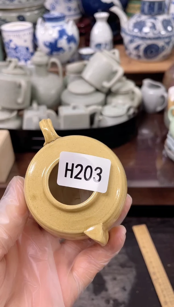 1**…安佳佳直播间h203