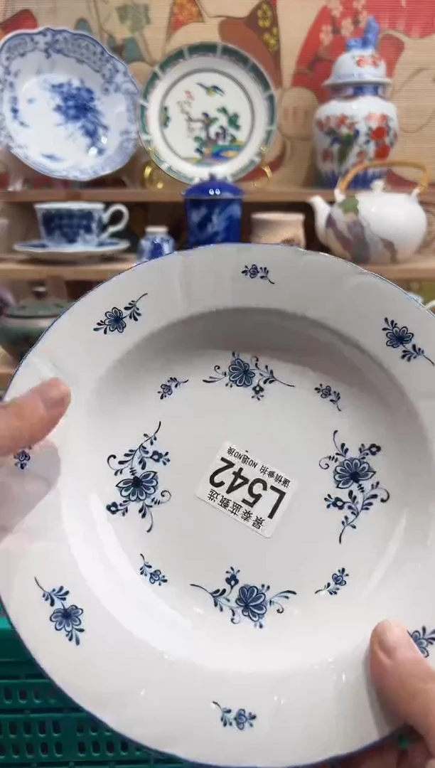 瓷片          L542