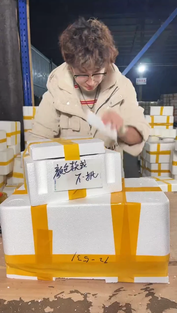 紫砂花盆宜兴紫砂粗陶花盆6.8/3