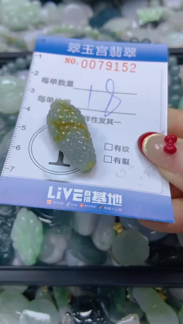 【闪购商品】翡翠颈饰未镶嵌闪购0079152