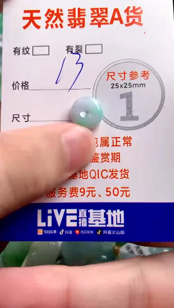 翡翠未镶嵌颈饰24000527