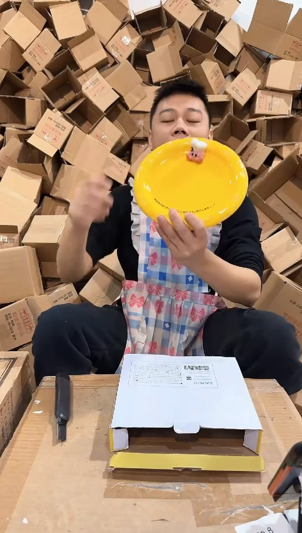 瓷片原盒星之卡比奶酪盘