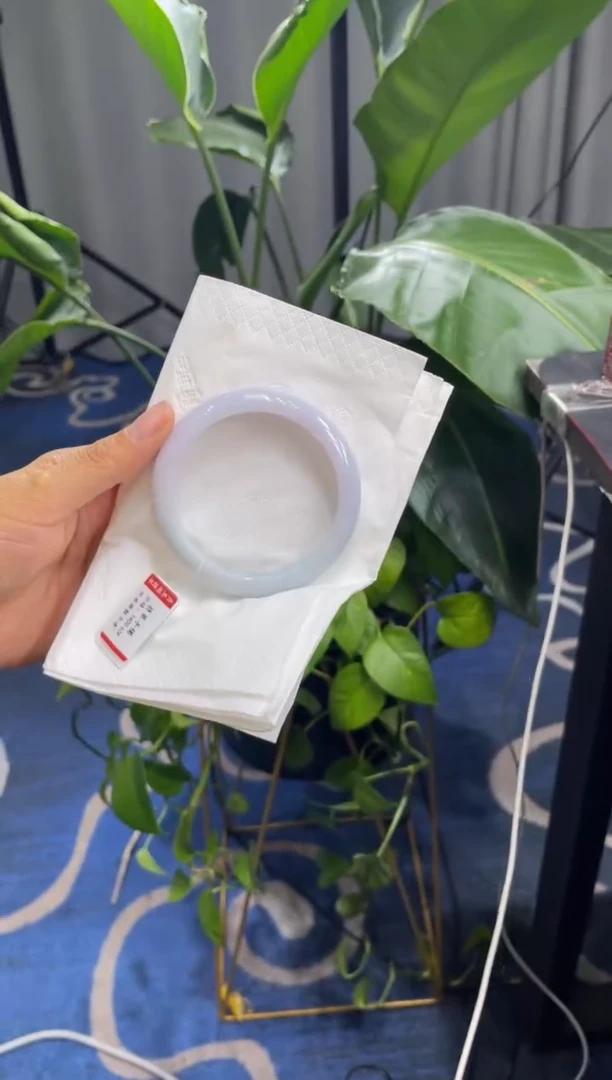 未镶嵌手镯翡翠6398