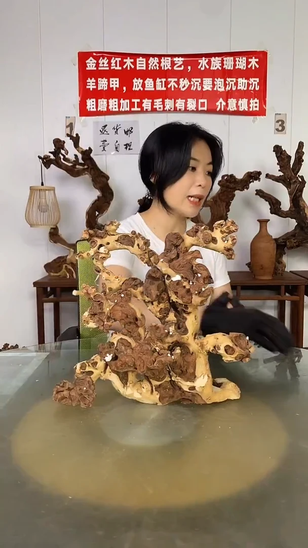 香榧木金丝红木 羊蹄甲