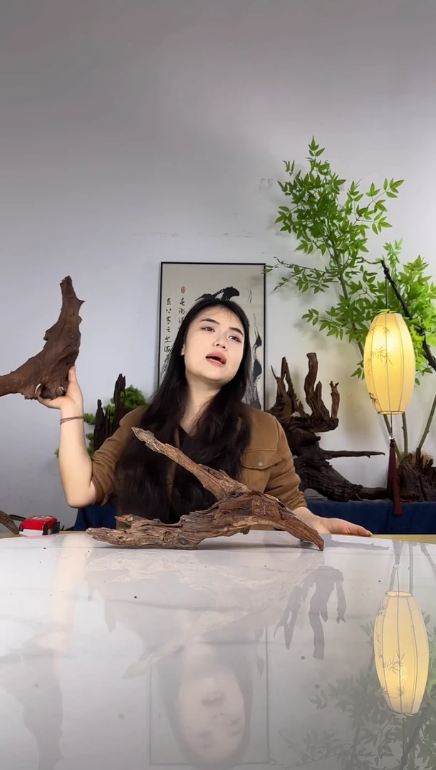 H**，拍这个定向编号28