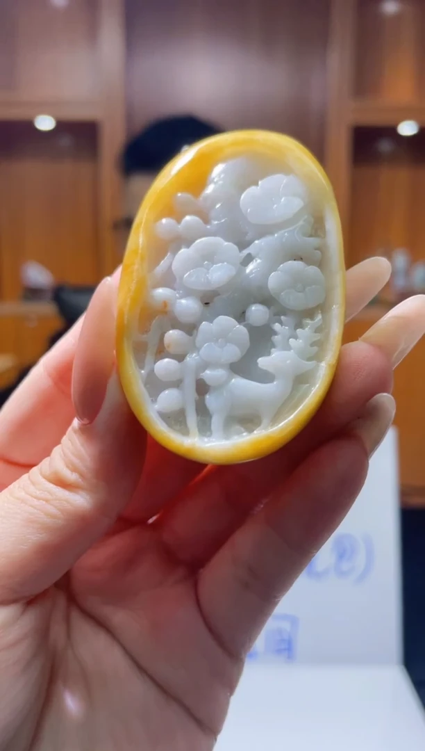 翡翠未镶嵌颈饰N-@@ZXZA0502410