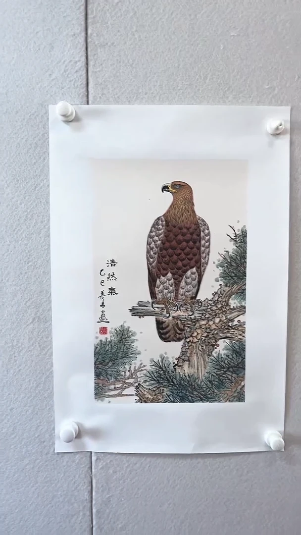 国画京九万象正品42