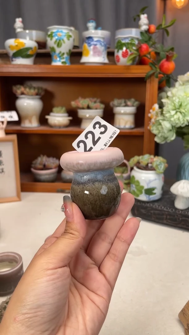 瓷片223知木小芳花盆编号