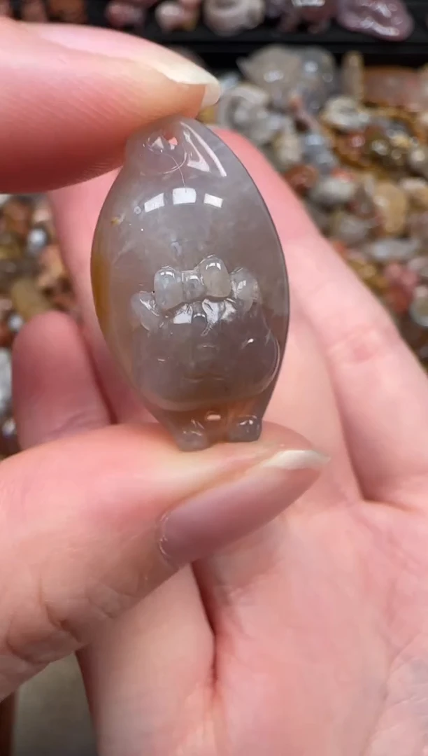 颈饰未镶嵌硅化珊瑚（珊瑚玉）403