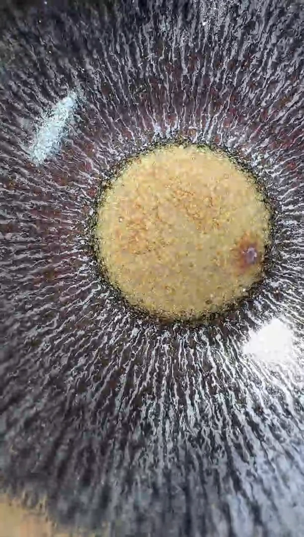 茶盏古法精选柴烧93